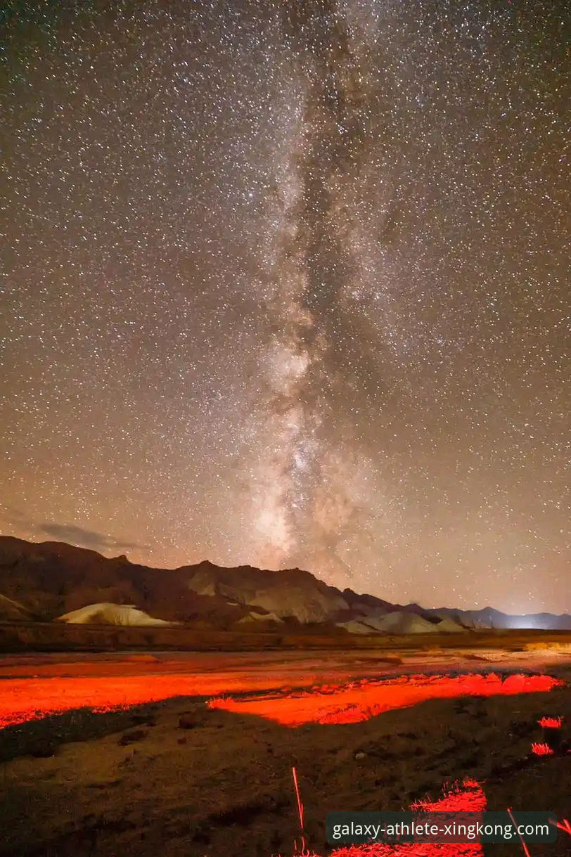 深度揭秘：民主刚果52年后重返世界杯，绝杀背后的悲喜与星空体育平台上的震撼体验